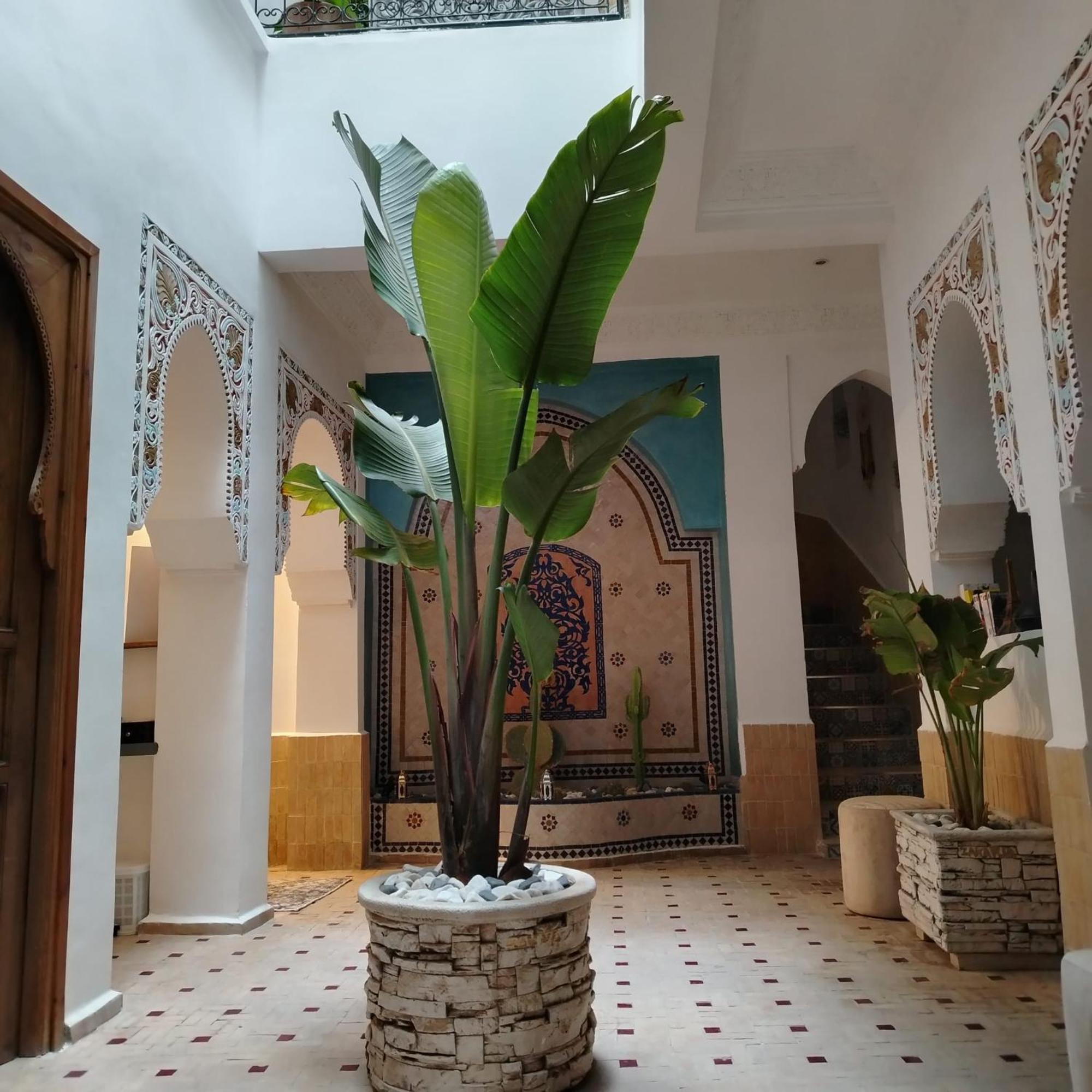 Riad & Spa Sous Le Soleil Chez Jerome Et Pamela Ch Marrakchi Marrakesch Exterior foto